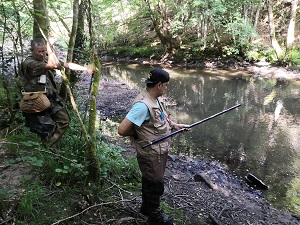 Cantal 2019