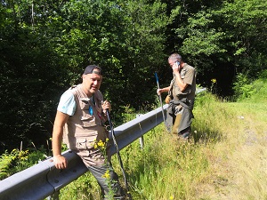 Cantal 2019